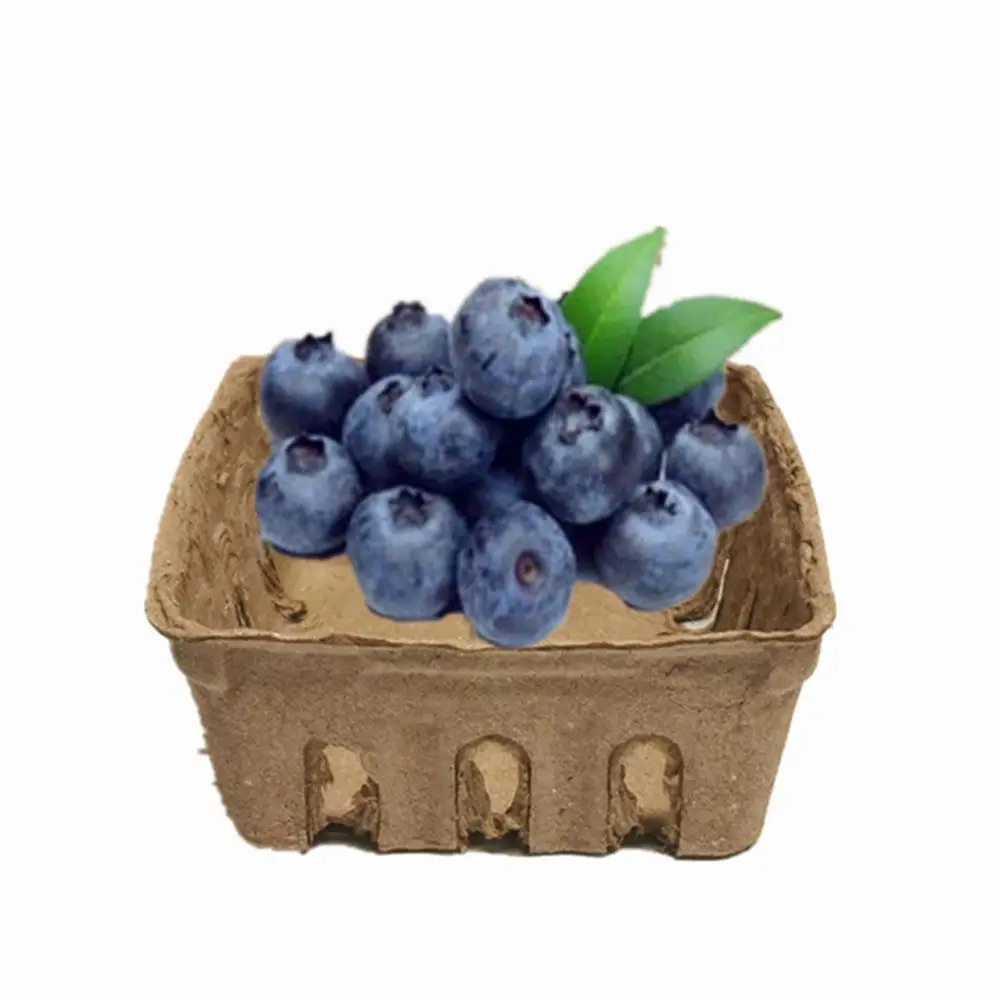 40 Pcs Baskets Fruit and Veggie Storage Containers Pulp Berry for Kitchen Vegetable Natural
40 Pcs Baskets Fruit and Veggie Storage Containers Pulp Berry for Kitchen Vegetable Natural