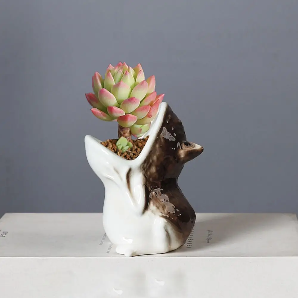 Funny Cute Animal Succulent Flowerpot Handicraft Decorative Cartoon Flower Vase With Drainage Hole Frog Candlestick Stand Home 
Funny Cute Animal Succulent Flowerpot Handicraft Decorative Cartoon Flower Vase With Drainage Hole Frog Candlestick Stand Home