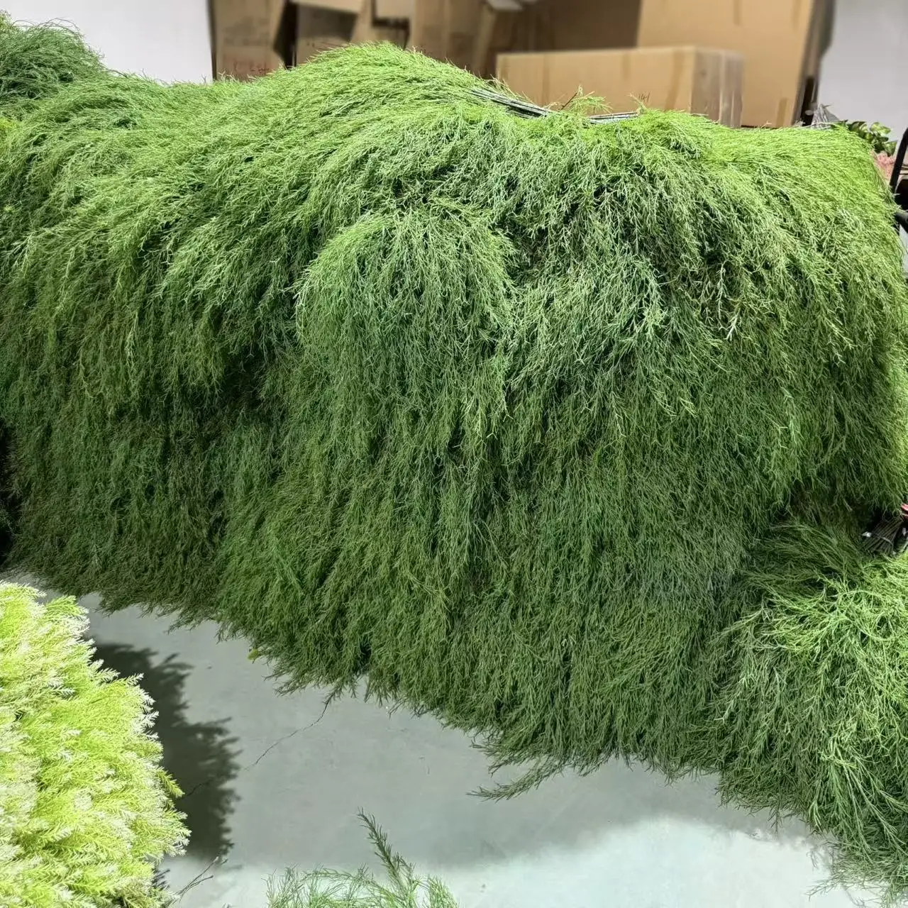 5Pcs Fake Green Plants Reed Grass Forest Wedding Decor Background Floral Arrangement Artificial Persian Leaves Party Home Decor
5Pcs Fake Green Plants Reed Grass Forest Wedding Decor Background Floral Arrangement Artificial Persian Leaves Party Home Decor