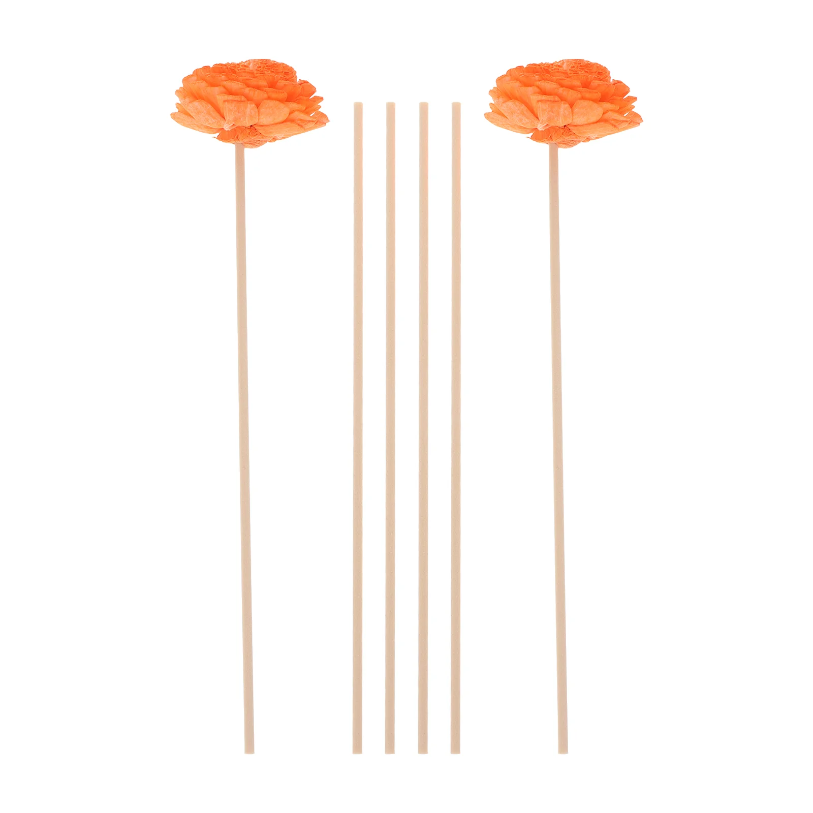 Astragalus Aromatherapy Set Bottle Inserts Sticks Diffuser Flowers Replaceable Essential Oil Diffusers Office Wands
Astragalus Aromatherapy Set Bottle Inserts Sticks Diffuser Flowers Replaceable Essential Oil Diffusers Office Wands