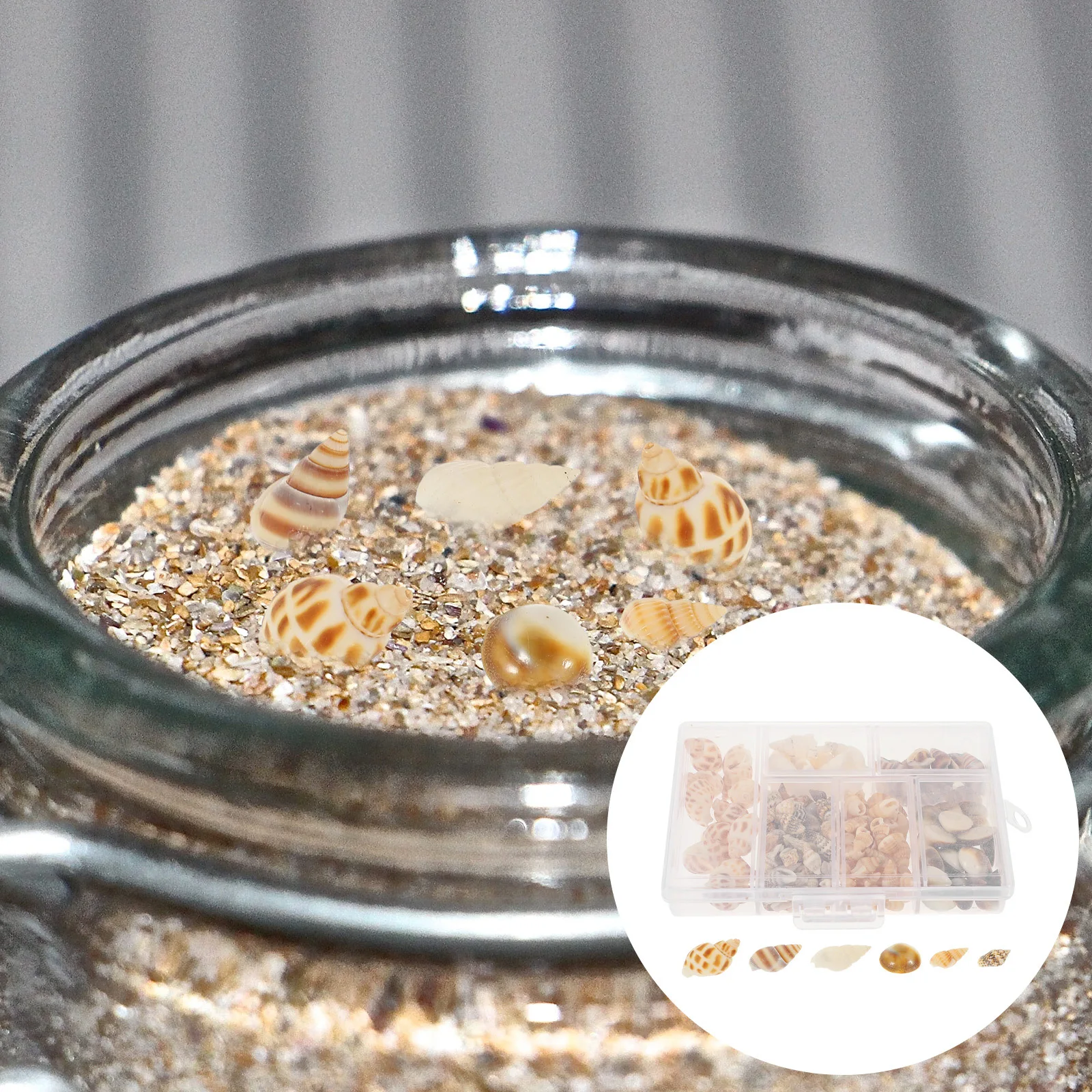 1 Box of Small Shells Natural Conch Decor for DIY Crafts Pendants Gifts Home Living Room Dining Table Decor Fish Tank
1 Box of Small Shells Natural Conch Decor for DIY Crafts Pendants Gifts Home Living Room Dining Table Decor Fish Tank