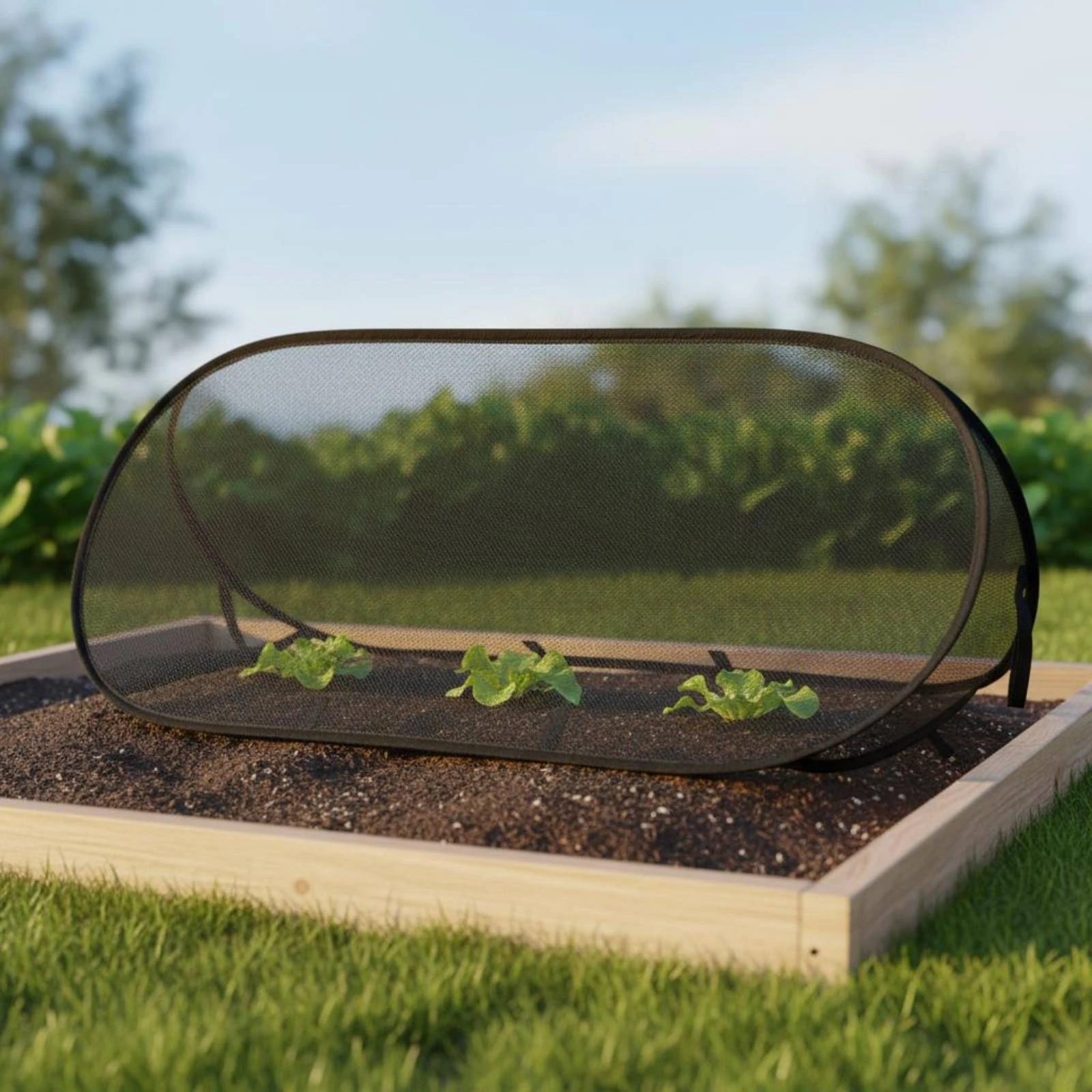 Mesh Tunnel Cover Fine Netting Foldable Mesh Cover Ground Nails with Stakes
Mesh Tunnel Cover Fine Netting Foldable Mesh Cover Ground Nails with Stakes