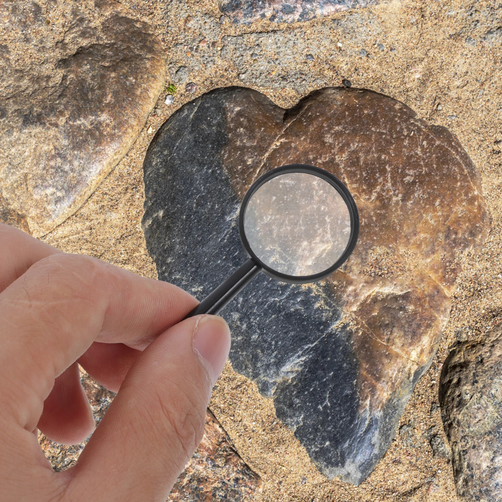 10pcs Handheld Magnifying Glass High-Definition Optical Lens Portable For Reading Books Jewelry Coin Inspection Tool Magnifier
10pcs Handheld Magnifying Glass High-Definition Optical Lens Portable For Reading Books Jewelry Coin Inspection Tool Magnifier