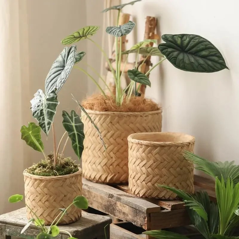 Retro Imitation Bamboo Weaving Plant Pot for Succulent Green Plants Brown Flower Pots Balcony Decorative Ornaments Plant St
Retro Imitation Bamboo Weaving Plant Pot for Succulent Green Plants Brown Flower Pots Balcony Decorative Ornaments Plant St