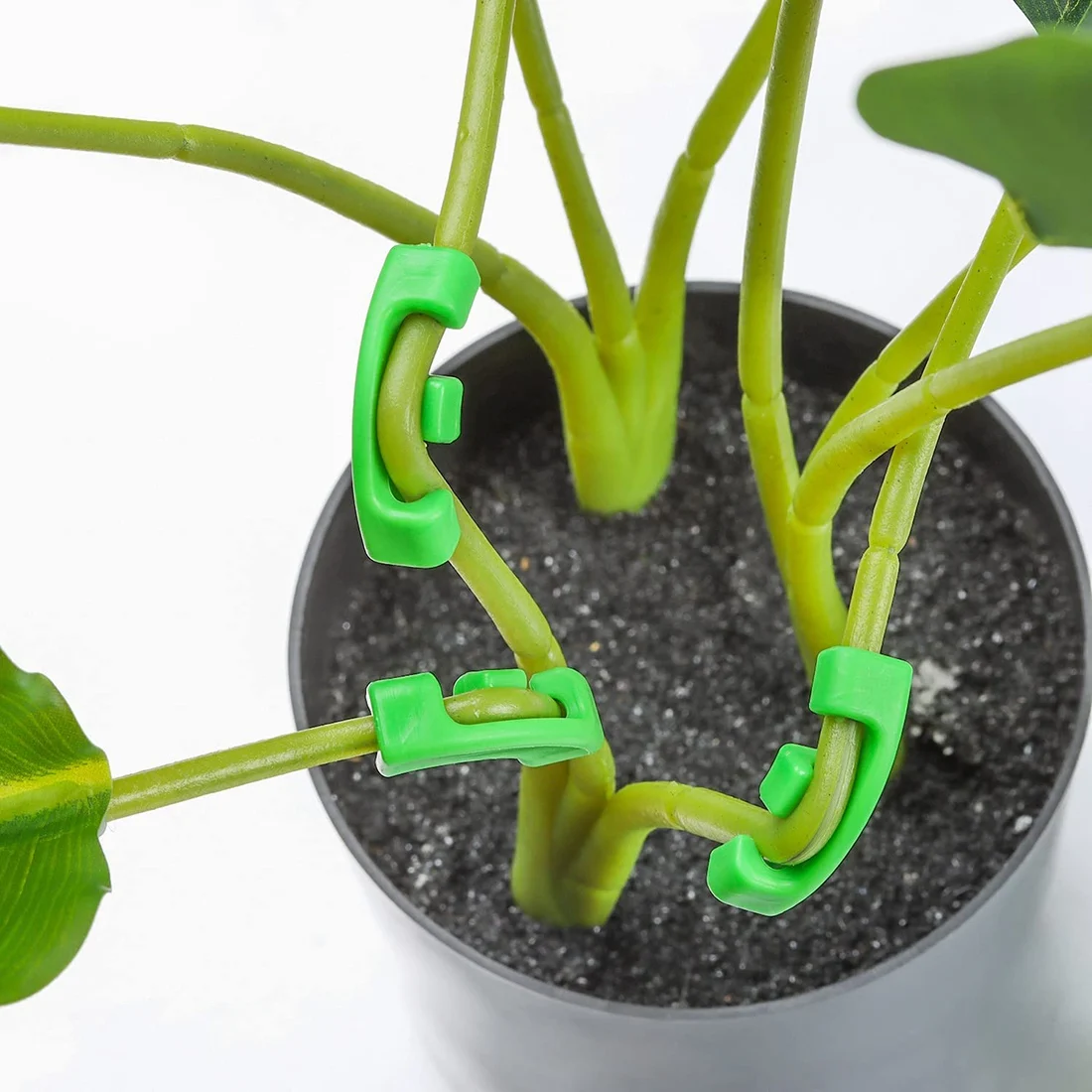 AA91 36 Pcs 90 Degree Plant Trainer for Low Stress Training Bending Clips LST Clips for Plant Trellis Growth Kits
AA91 36 Pcs 90 Degree Plant Trainer for Low Stress Training Bending Clips LST Clips for Plant Trellis Growth Kits
