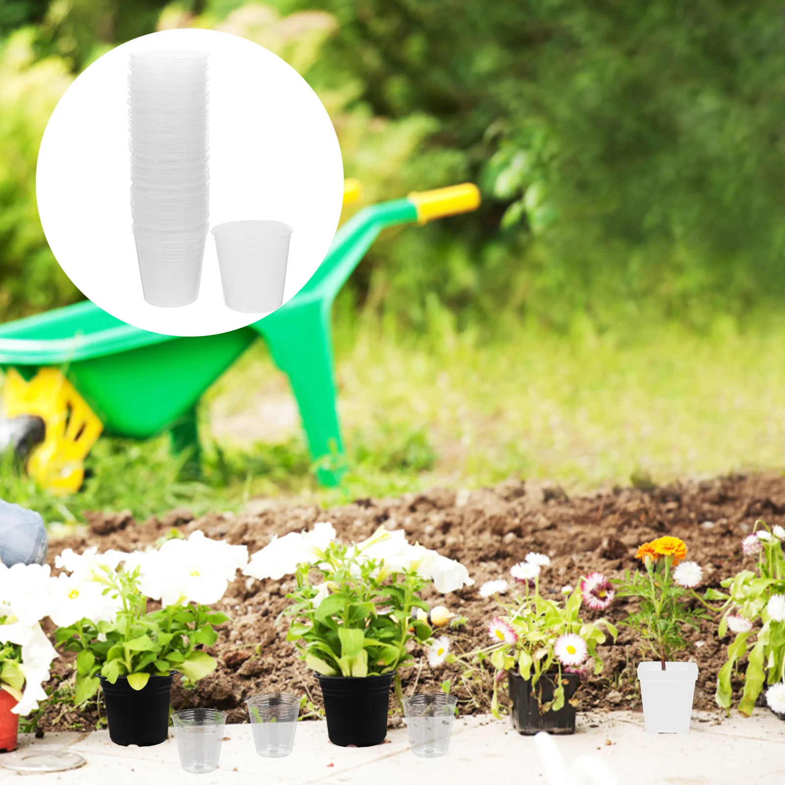 50pcs Clear Nursery Cups Plastic Flower Pots Grow Planter Garden Orchid Succulent Plants Draining Holes
50pcs Clear Nursery Cups Plastic Flower Pots Grow Planter Garden Orchid Succulent Plants Draining Holes
