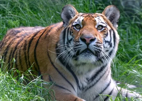 LDRC LD2801 LD2802 LD2803 LD2804 1/28 4WD RC Дрифт Автомобиль Пропорциональное рулевое управление Светодиодные фары 2,4G Игрушки для детей
LDRC LD2801 LD2802 LD2803 LD2804 1/28 4WD RC Дрифт Автомобиль Пропорциональное рулевое управление Светодиодные фары 2,4G Игрушки для детей