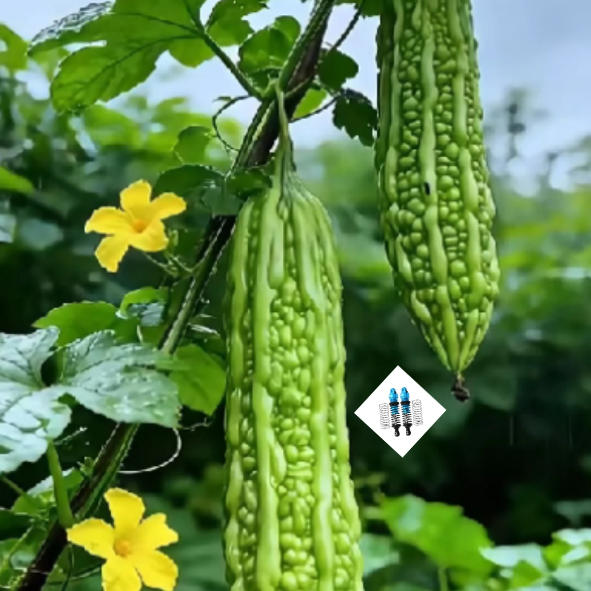 GPM TAMIYA 1/10 BBX BB-01 54504 For Aluminum 7075 Front Damper 70mm
GPM TAMIYA 1/10 BBX BB-01 54504 For Aluminum 7075 Front Damper 70mm