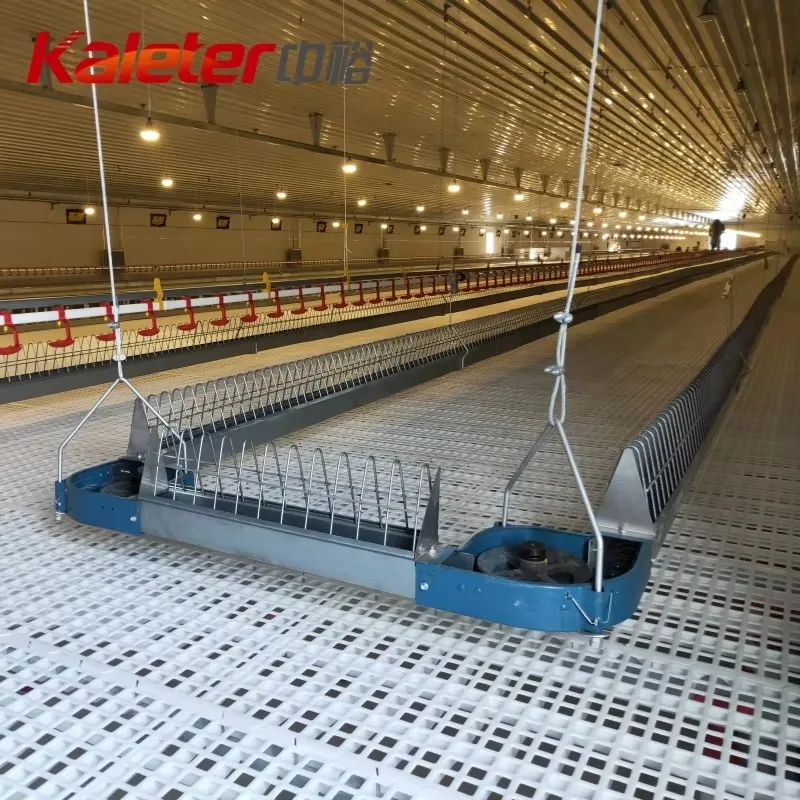 Broiler Parent Stock Automatic Farm Chain Feeding Line System Chickens Poultry Breeder Equipment Chain Feeder
Broiler Parent Stock Automatic Farm Chain Feeding Line System Chickens Poultry Breeder Equipment Chain Feeder