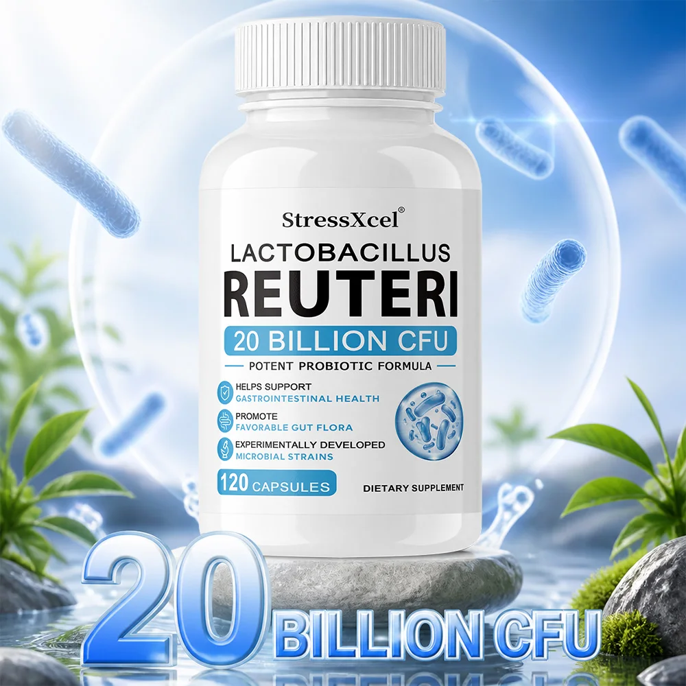 Lactobacillus Reuteri Probiotic Capsules, Targeted Gut Health Supplement, Balances Intestinal Flora, Boosts Digestion & Immunity
Lactobacillus Reuteri Probiotic Capsules, Targeted Gut Health Supplement, Balances Intestinal Flora, Boosts Digestion & Immunity