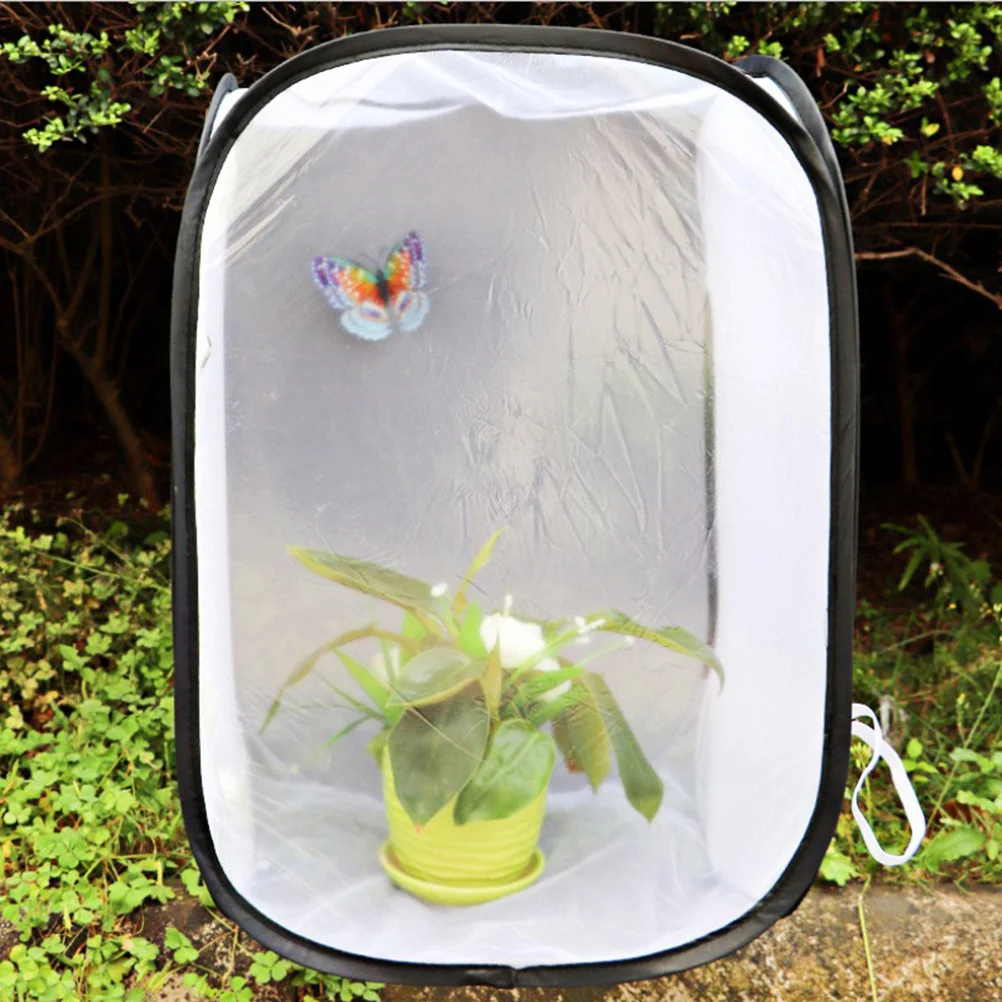 30x30cm White Foldable Cage Portable House Dragonfly Habitat Outdoor Nature Exploration Toys (Zipper for Random Color)
30x30cm White Foldable Cage Portable House Dragonfly Habitat Outdoor Nature Exploration Toys (Zipper for Random Color)