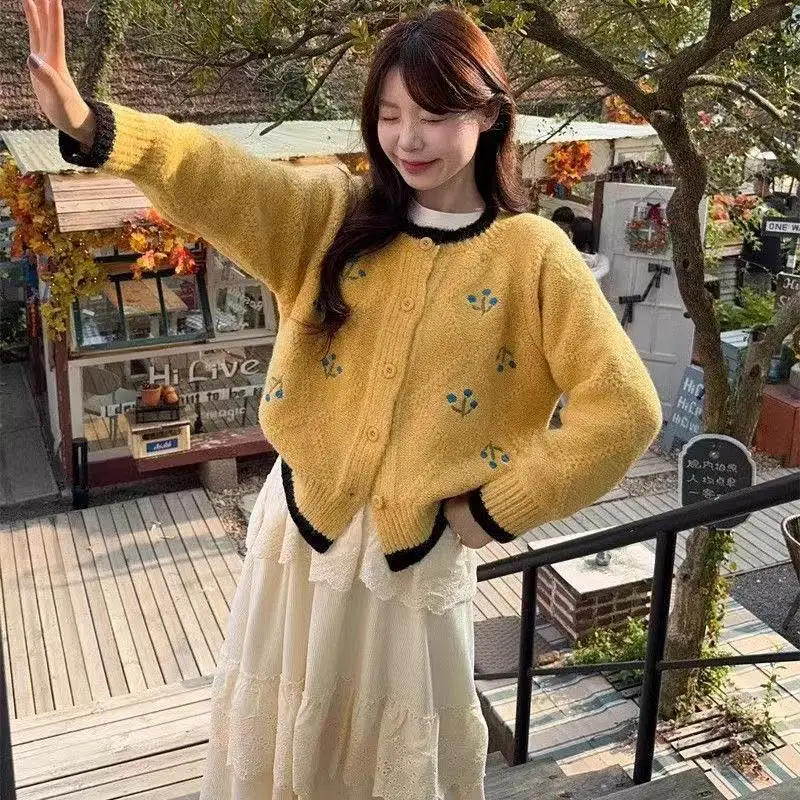 Короткий вязаный короткий осенне-зимний новый дизайн с французской вышивкой, стильный и универсальный свитер для снижения возраста
Короткий вязаный короткий осенне-зимний новый дизайн с французской вышивкой, стильный и универсальный свитер для снижения возраста