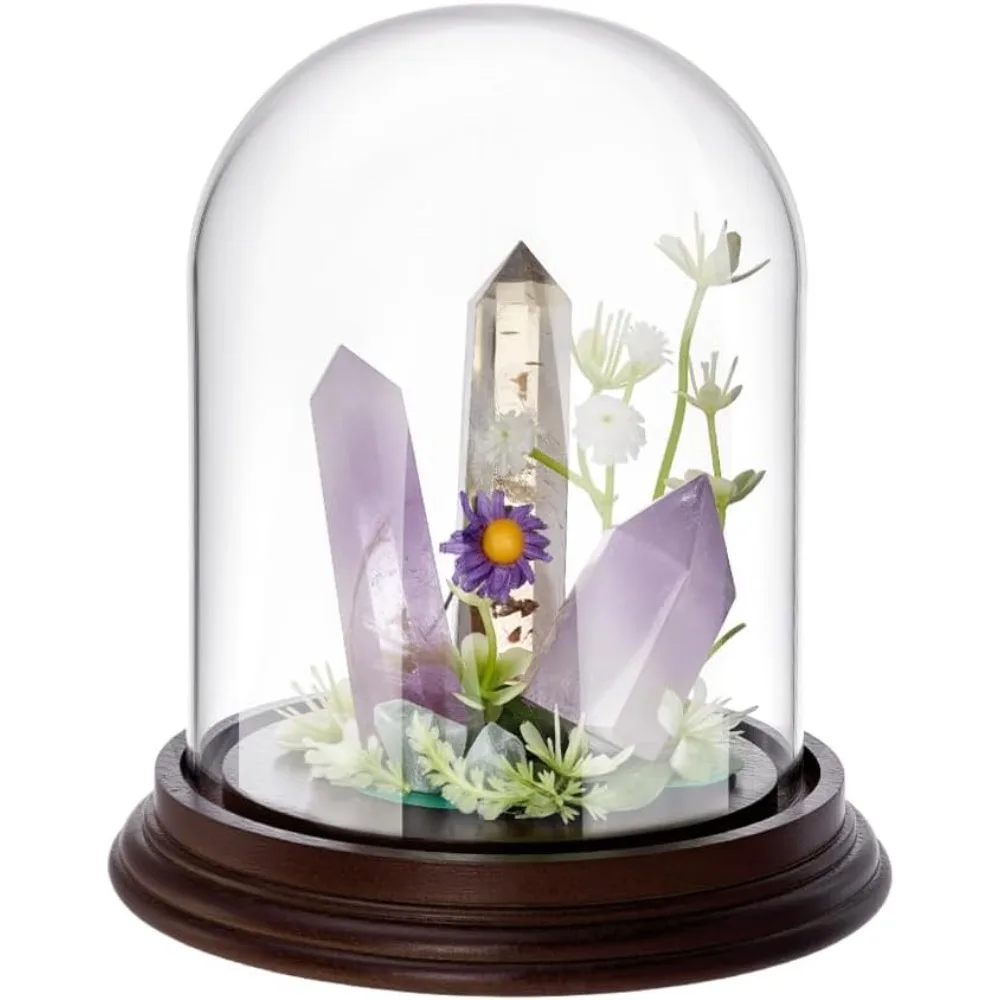 Стеклянный купол для дисплея 5,1x5,5 дюйма, стеклянный колокольчик с деревянной основой, декоративный прозрачный стеклянный купол для хранения цветов в доме
Стеклянный купол для дисплея 5,1x5,5 дюйма, стеклянный колокольчик с деревянной основой, декоративный прозрачный стеклянный купол для хранения цветов в доме