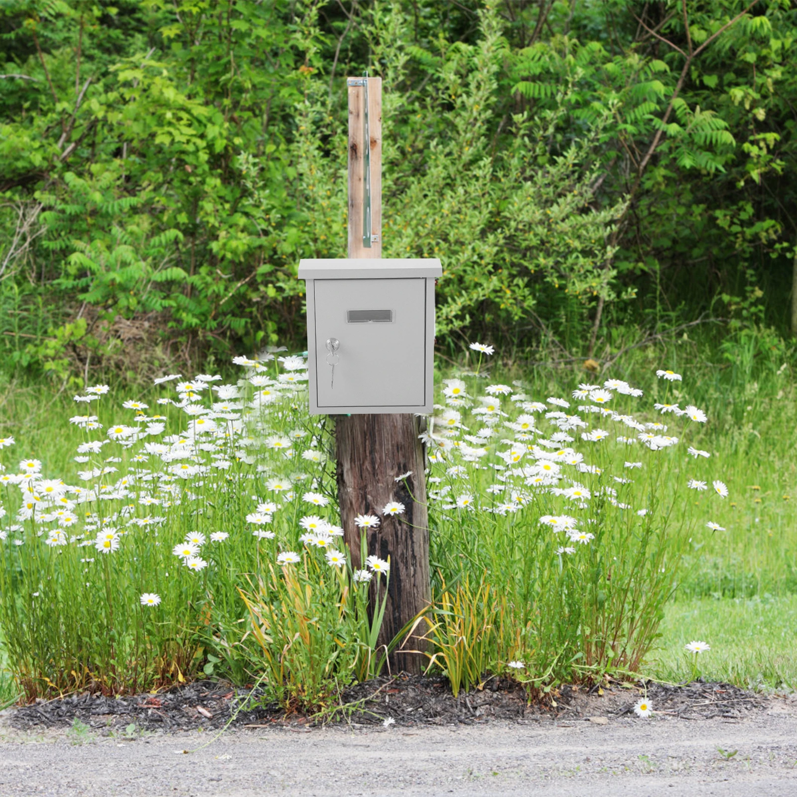 Vintage Stainless Steel Mailbox Wall Mounted European Metal Letter Box With Storage Capacity Durable Waterproof Outdoor Post Box
Vintage Stainless Steel Mailbox Wall Mounted European Metal Letter Box With Storage Capacity Durable Waterproof Outdoor Post Box