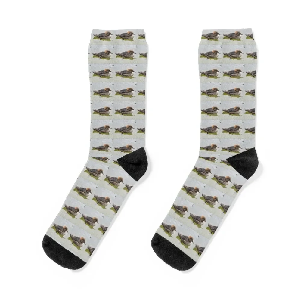 Female Hooded Merganser Duck Photograph Socks loose designer brand Socks Women's Men's
Female Hooded Merganser Duck Photograph Socks loose designer brand Socks Women's Men's