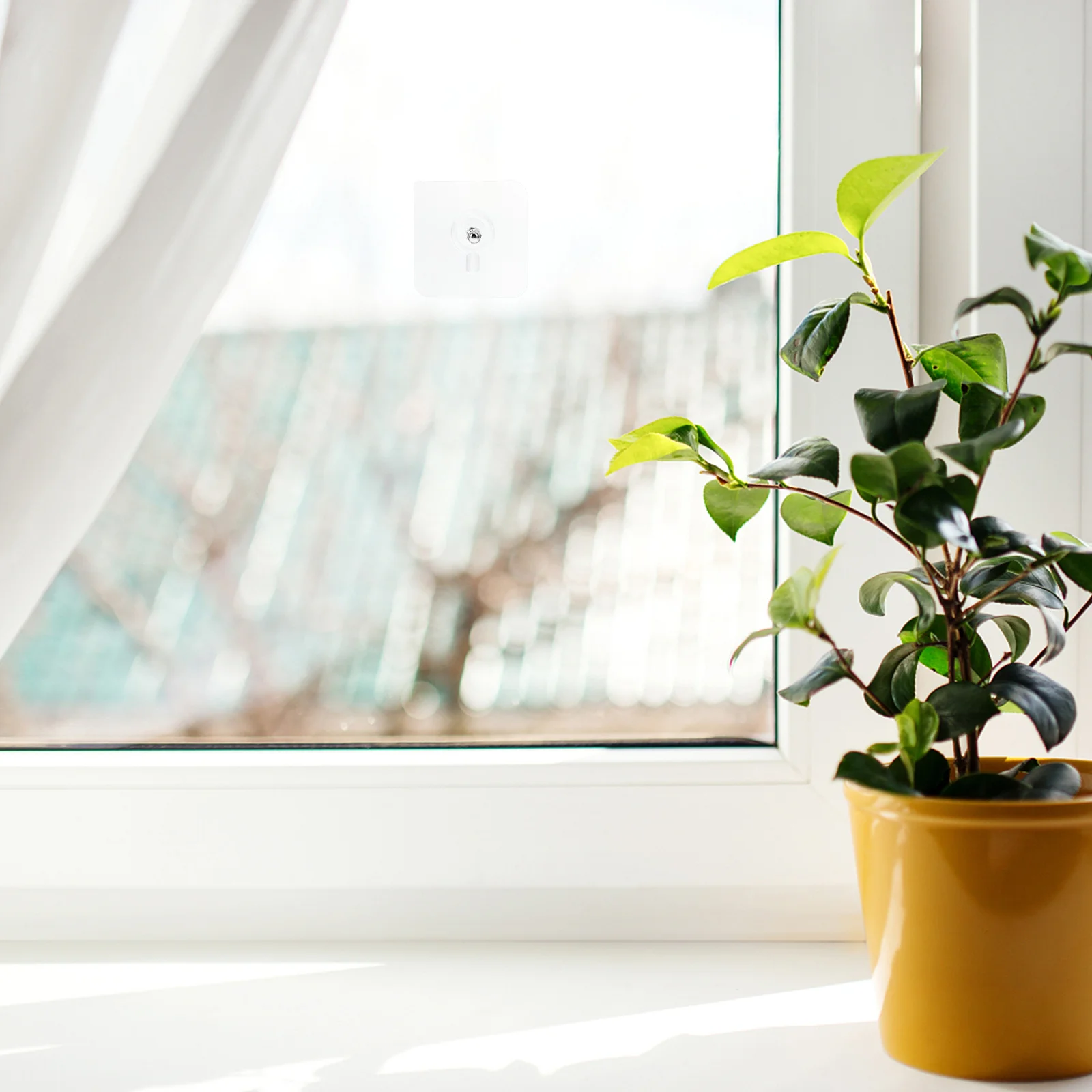 20Pcs Punch-Free Screw Nail Hooks Strong Viscosity Wall Adhesive Stickers Non-Trace Self-Adhesive Hook Stickers for Home Smooth
20Pcs Punch-Free Screw Nail Hooks Strong Viscosity Wall Adhesive Stickers Non-Trace Self-Adhesive Hook Stickers for Home Smooth