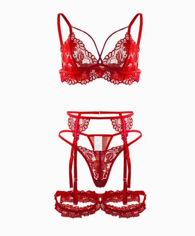 Women's Red Lace Lingerie with Garter Belt, Sheer Bra & Thong for Nightwear
Women's Red Lace Lingerie with Garter Belt, Sheer Bra & Thong for Nightwear