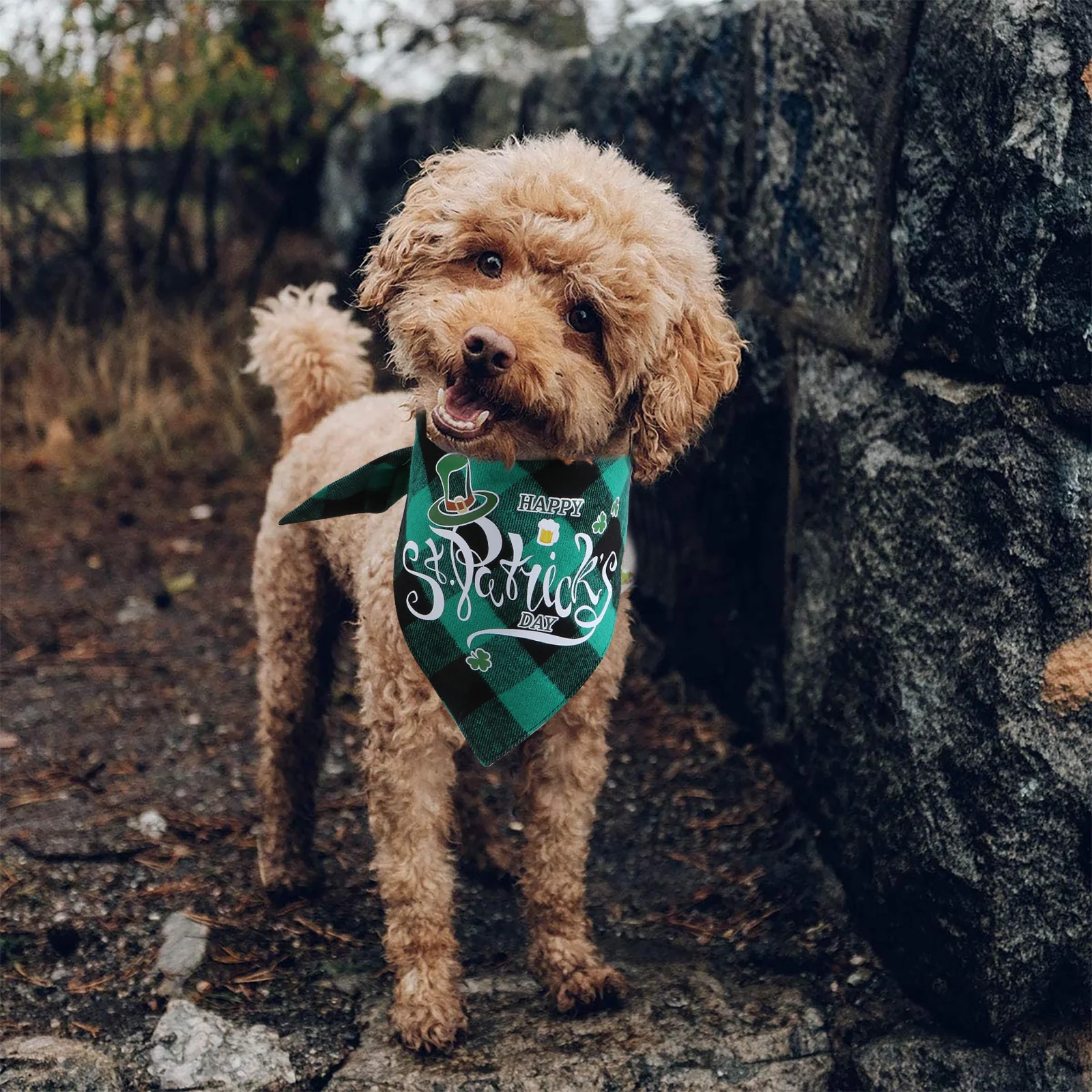 2Pcs St Patrick's Day Pet Bandana Set Design Cotton Material Breathable Cozy Photo Taking Wedding Festive Decor
2Pcs St Patrick's Day Pet Bandana Set Design Cotton Material Breathable Cozy Photo Taking Wedding Festive Decor