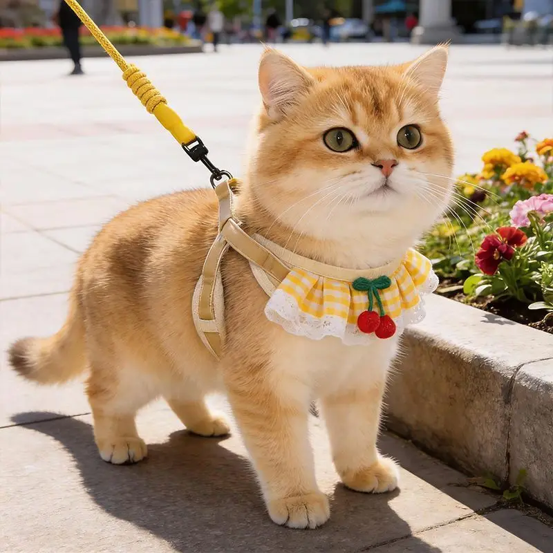 Cat traction rope anti-break free spring and summer kittens golden gradient going out special cat rope adjustable vest type
Cat traction rope anti-break free spring and summer kittens golden gradient going out special cat rope adjustable vest type
