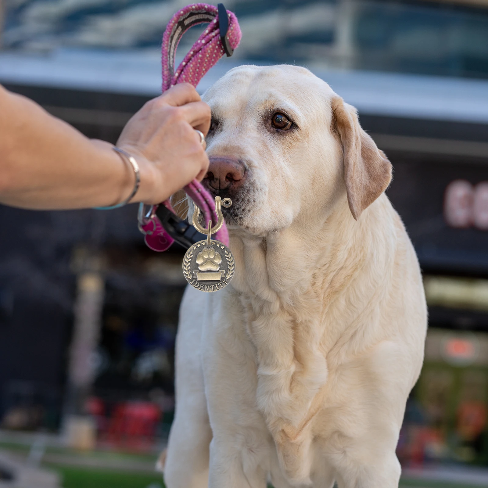 Pet Id Tag Sturdy Zinc Alloy Dog Cat Engraved Name Tag Round Pendant Puppy Collar Anti Lost Pet Supplies Dog Tags
Pet Id Tag Sturdy Zinc Alloy Dog Cat Engraved Name Tag Round Pendant Puppy Collar Anti Lost Pet Supplies Dog Tags
