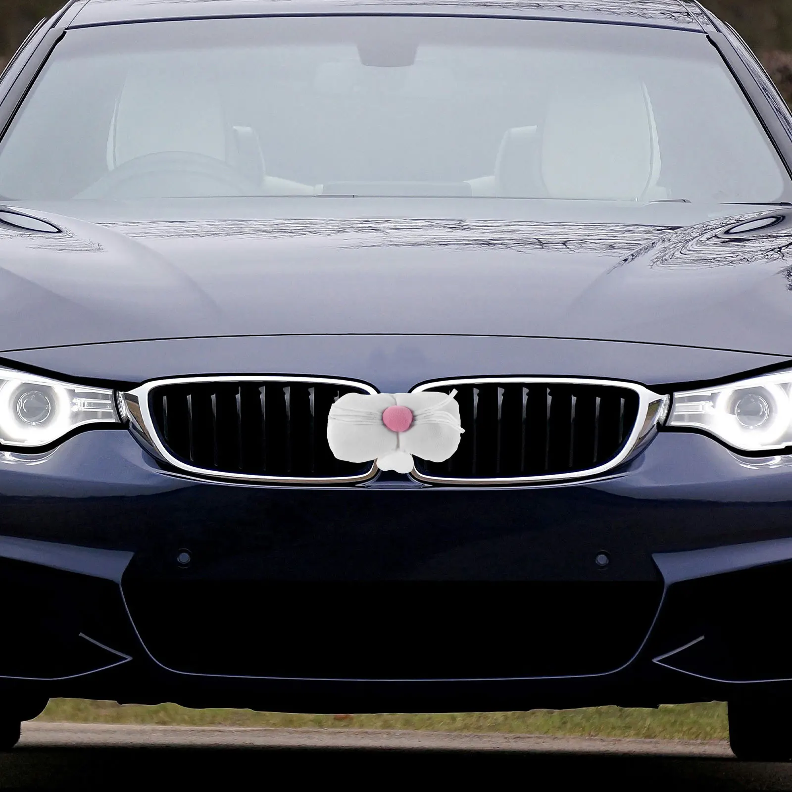 1Set Easter Bunny Car Decorations Pink Rabbit Ears Vehicle Accessories Reusable Cute Bunny Ear Car Decorations for Spring
1Set Easter Bunny Car Decorations Pink Rabbit Ears Vehicle Accessories Reusable Cute Bunny Ear Car Decorations for Spring