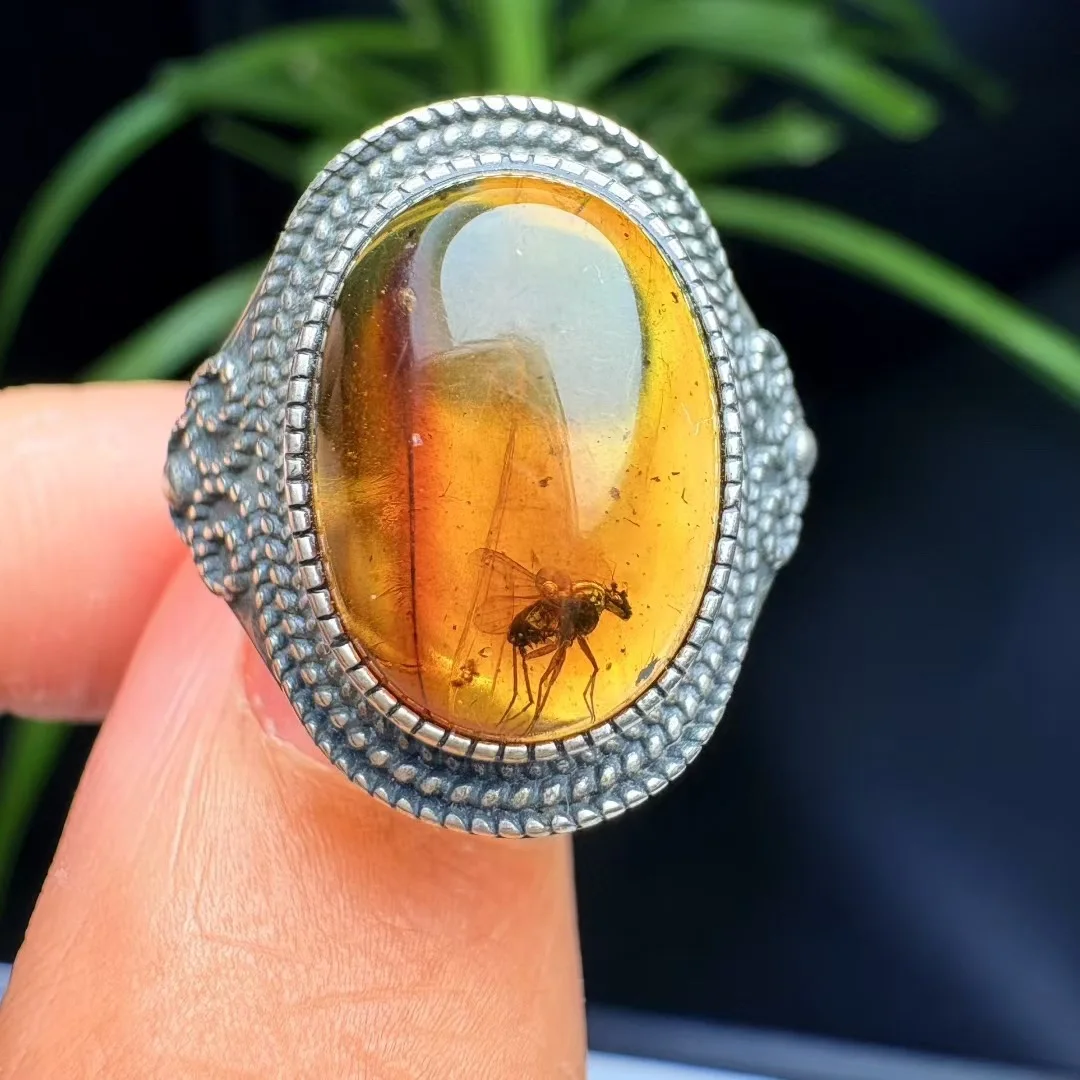 1 Pc Fengbaowu Natural Worm Amber Oval Cabochon Ring 925 Sterling Silver Crystal Healing Stone Jewelry Gift For Men Women Men
1 Pc Fengbaowu Natural Worm Amber Oval Cabochon Ring 925 Sterling Silver Crystal Healing Stone Jewelry Gift For Men Women Men