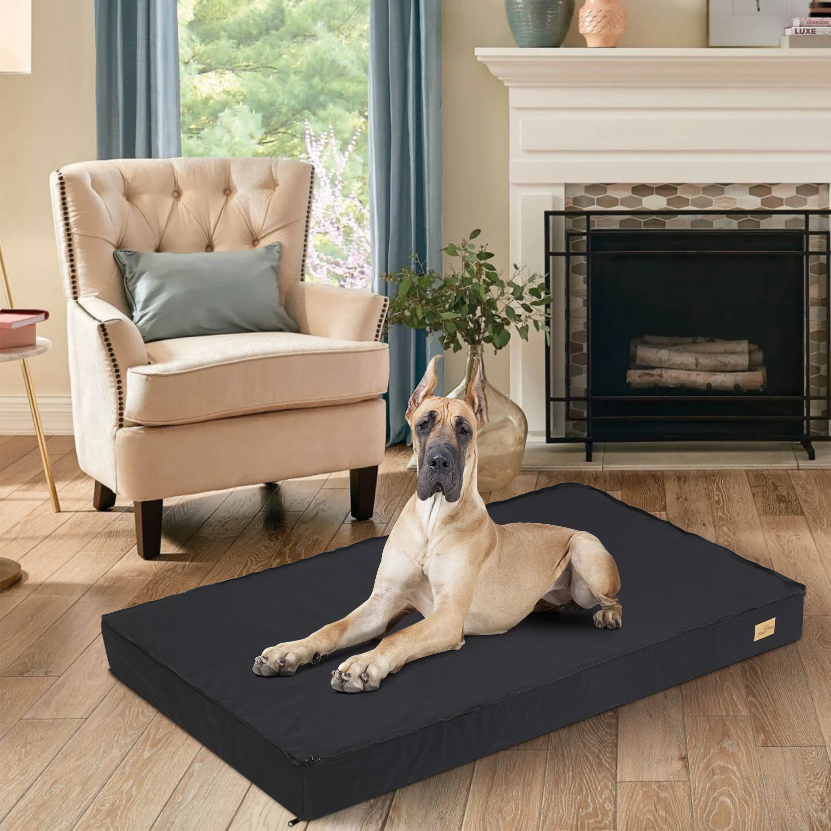 Washable Dog Beds for Large Dogs Comfortable Orthopedic Dog Bed Sponge Foam Pet Bedding Dog Crate Bed
Washable Dog Beds for Large Dogs Comfortable Orthopedic Dog Bed Sponge Foam Pet Bedding Dog Crate Bed