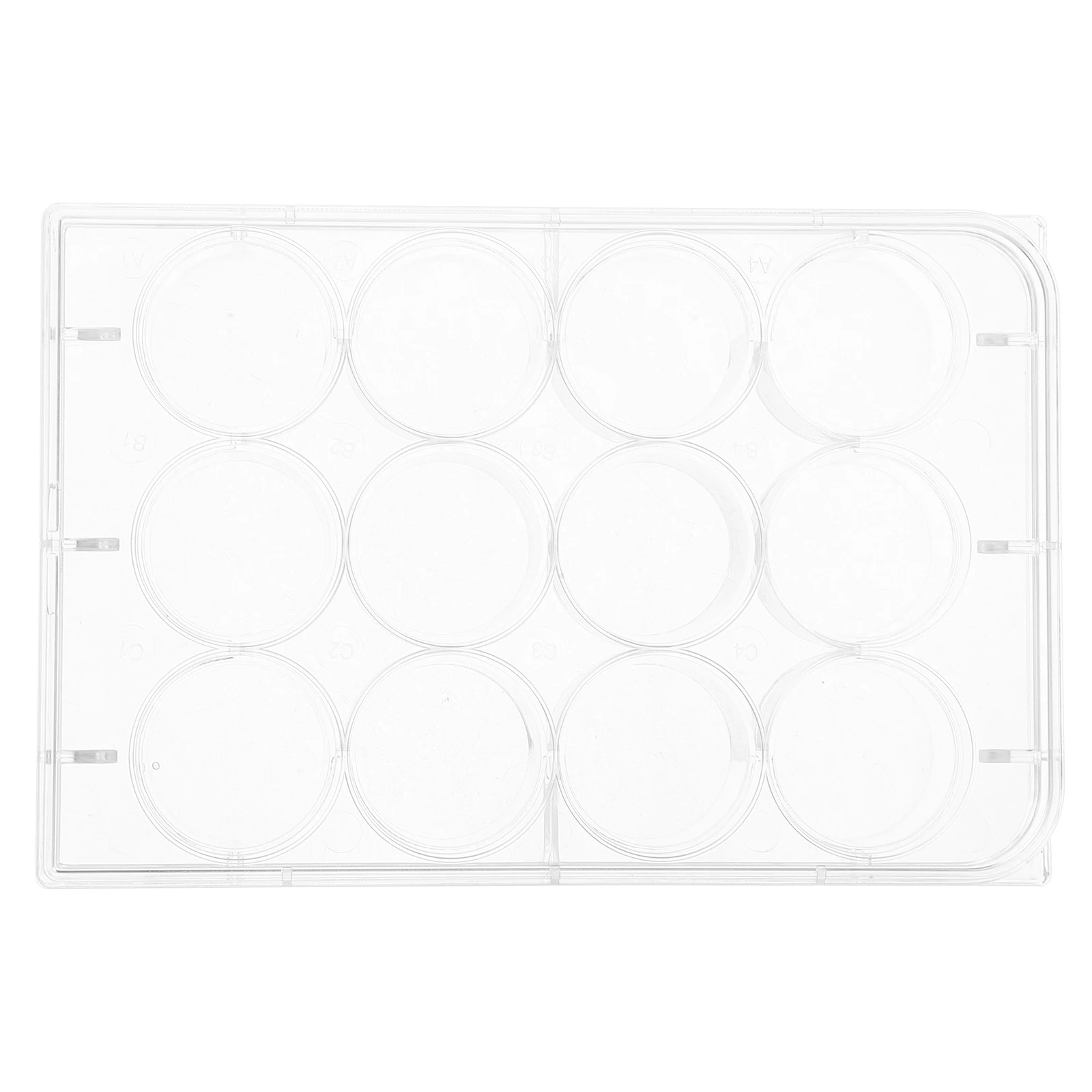 10pcs Culture High Transparency Flat Bottom Lid Cell Culture Tray for Laboratory Teaching Equipment Plastic
10pcs Culture High Transparency Flat Bottom Lid Cell Culture Tray for Laboratory Teaching Equipment Plastic