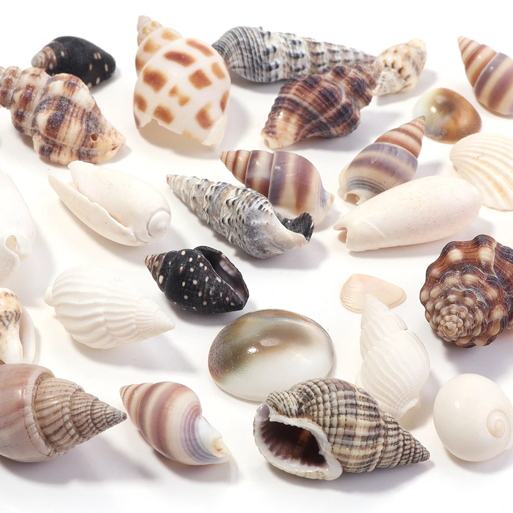 40g/lot Natural Sea Shell Beads Natural Seashells Conch Cowrie Charms Beads For DIY Jewelry Making Necklace Bracelet Accessories
40g/lot Natural Sea Shell Beads Natural Seashells Conch Cowrie Charms Beads For DIY Jewelry Making Necklace Bracelet Accessories