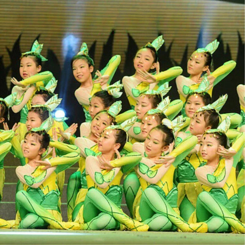 Chinese Wind Dance Costume Little Tree Dance Dress Performance Costume Child Leaf Costume Collective Stage Performance Clothes
Chinese Wind Dance Costume Little Tree Dance Dress Performance Costume Child Leaf Costume Collective Stage Performance Clothes