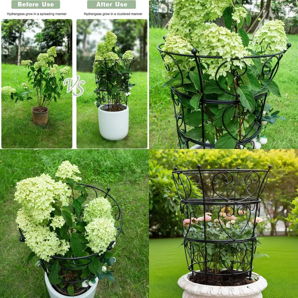 24.6x17 Inch Metal Peony Trellis - Durable Outdoor Plant Support for Climbing Flowers, Easy to Assemble
24.6x17 Inch Metal Peony Trellis - Durable Outdoor Plant Support for Climbing Flowers, Easy to Assemble