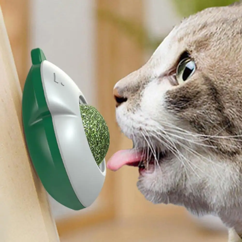 Cat Licking Ball Natural Catnip Chew Toy Wall Mounted Rotatable Ball for Teeth Cleaning Indoor Cat Exercise
Cat Licking Ball Natural Catnip Chew Toy Wall Mounted Rotatable Ball for Teeth Cleaning Indoor Cat Exercise