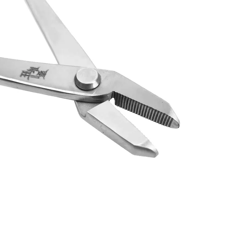 MSTWA Heavy-Duty Bonsai Jin Pliers Professional Stainless Steel Pruning Styling Pliers for Bonsai Modeling Tool
MSTWA Heavy-Duty Bonsai Jin Pliers Professional Stainless Steel Pruning Styling Pliers for Bonsai Modeling Tool