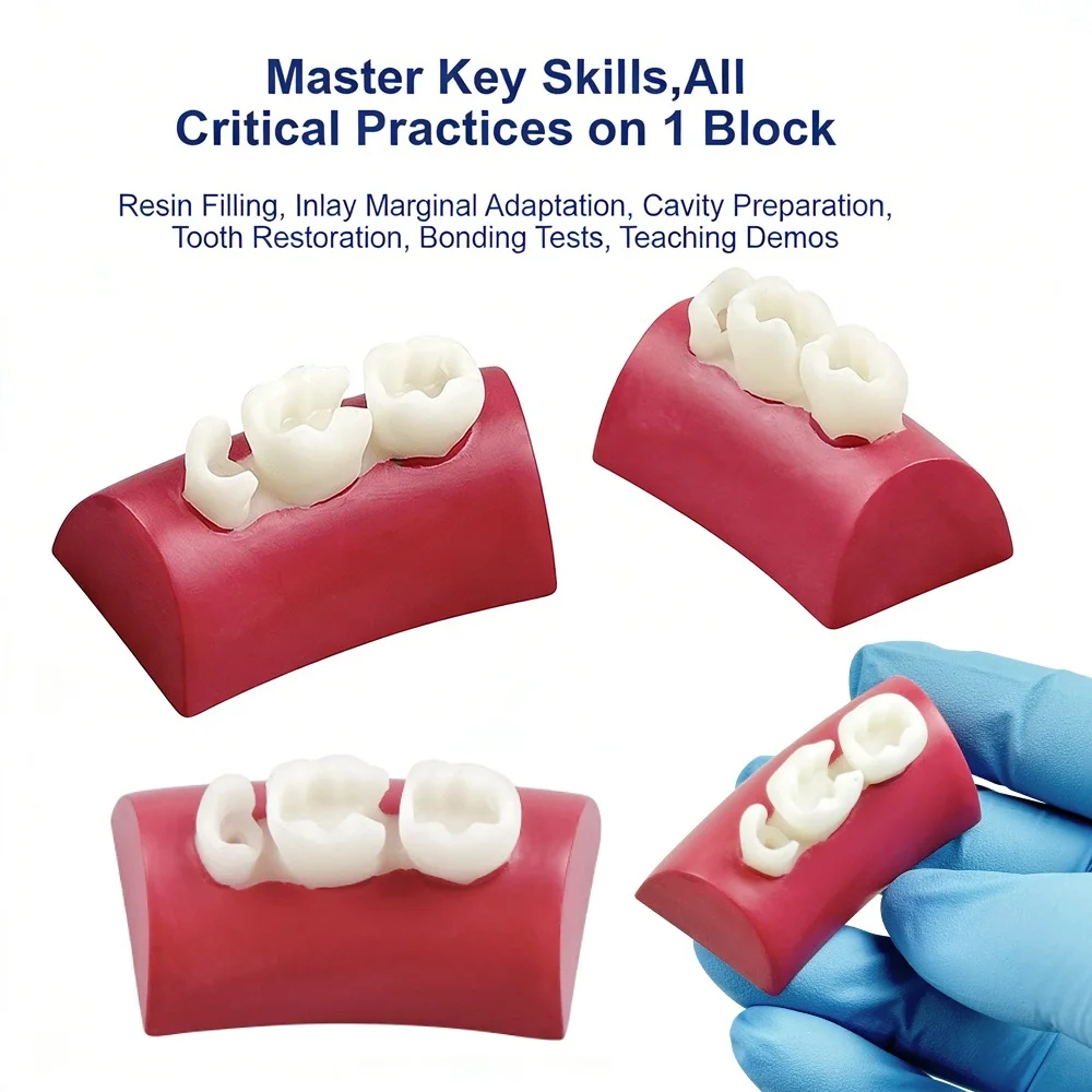 10pcs Dental Inlay Exercise Block Teeth Restoration Posterior Cavity Resin Filling Practice Model Root Canal Prep Simulator
10pcs Dental Inlay Exercise Block Teeth Restoration Posterior Cavity Resin Filling Practice Model Root Canal Prep Simulator