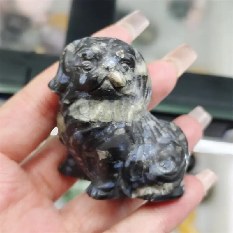 Natural Llanite Cartoon Dog Carving Energy Gem Reiki Healing Fengshui Home Decoration Gift Collection 1pcs
Natural Llanite Cartoon Dog Carving Energy Gem Reiki Healing Fengshui Home Decoration Gift Collection 1pcs