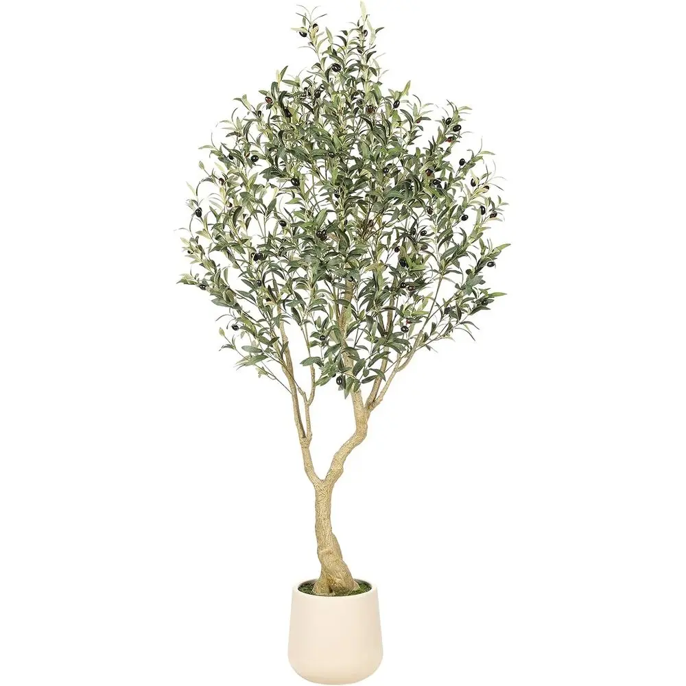 6ft Tall Artificial Olive Tree with Elegant Planter - Lifelike Olive Tree with Thick Trunk and Realistic Fruits - Ideal for Home
6ft Tall Artificial Olive Tree with Elegant Planter - Lifelike Olive Tree with Thick Trunk and Realistic Fruits - Ideal for Home