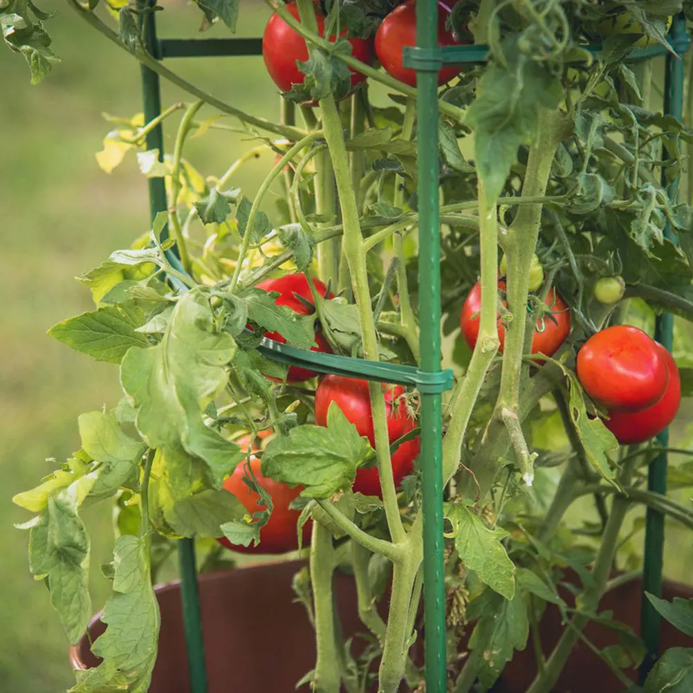 10pcs Plant Climbing Bracket Garden Trellis Support PP Material Durable Tomato Cage for Climbing Plants Garden Decoration Fence
10pcs Plant Climbing Bracket Garden Trellis Support PP Material Durable Tomato Cage for Climbing Plants Garden Decoration Fence