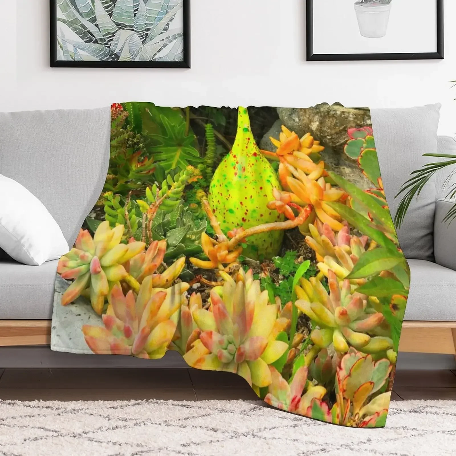 Contemporary, Colorful Succulents in Vintage Clay Pot Art Photo Throw Blanket Bed linens Decorative Beds Summer Blankets
Contemporary, Colorful Succulents in Vintage Clay Pot Art Photo Throw Blanket Bed linens Decorative Beds Summer Blankets