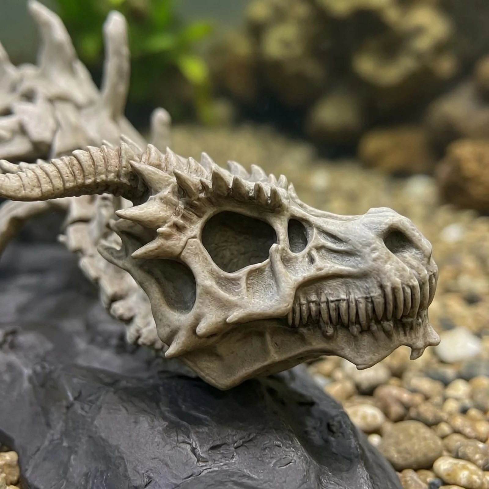 Aquarium Dragon Skeleton Skeletal Dragon Skeleton Ornament Aquarium Skull Statue Water Safe Natural Look
Aquarium Dragon Skeleton Skeletal Dragon Skeleton Ornament Aquarium Skull Statue Water Safe Natural Look