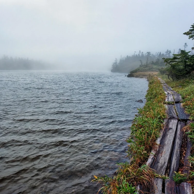 Мягкие раллийные шины ForTamiya 60D - кожаный раллийный блок для M-Cars (60 мм) Meijiaxin 1/14, универсальный раллийный автомобиль, 2 шт./4 шт. - 51427
Мягкие раллийные шины ForTamiya 60D - кожаный раллийный блок для M-Cars (60 мм) Meijiaxin 1/14, универсальный раллийный автомобиль, 2 шт./4 шт. - 51427