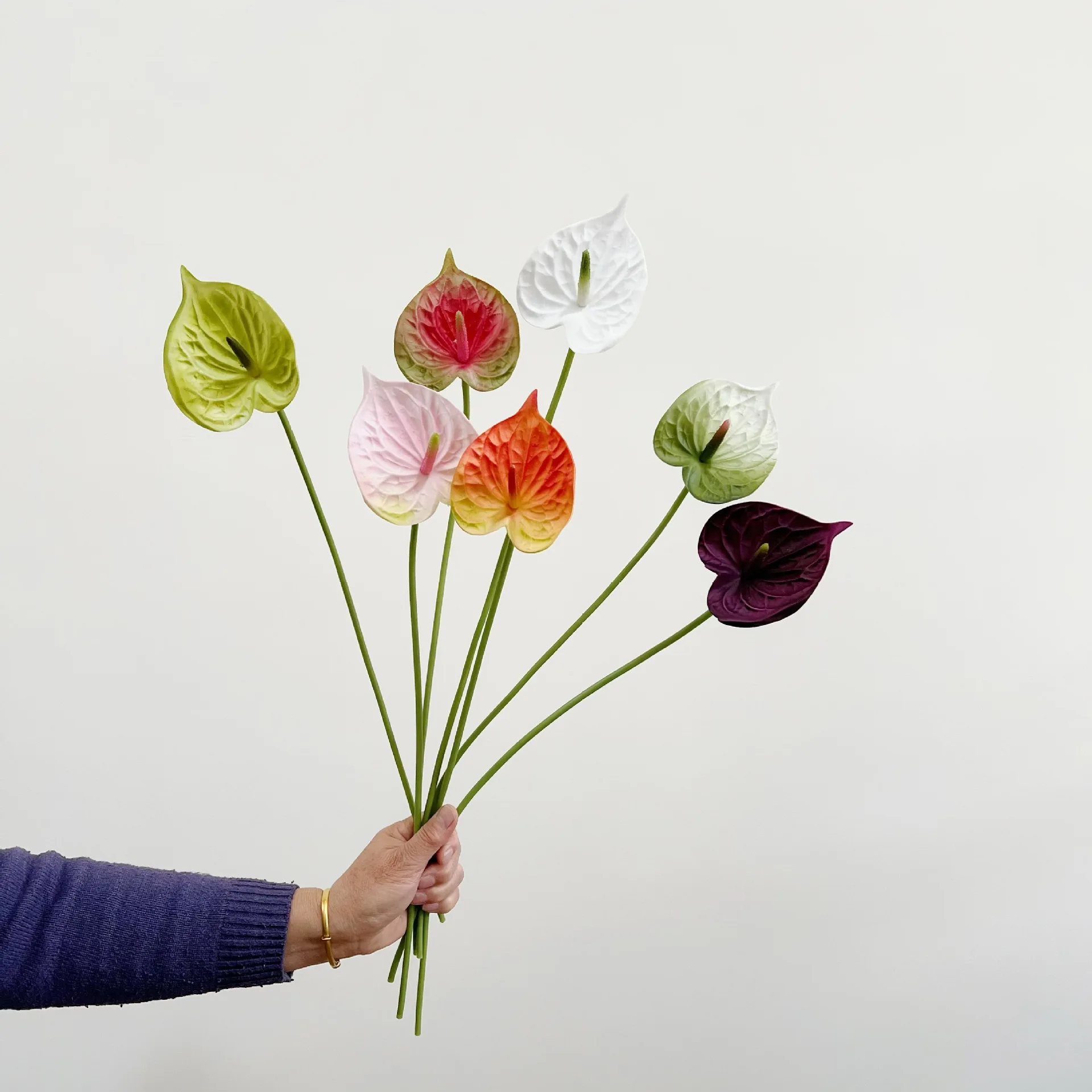 10 шт. искусственные цветы PU Alocasia украшение дома белая пальма свадебный декор букет вечерние цветочная композиция реквизит для фотосъемки
10 шт. искусственные цветы PU Alocasia украшение дома белая пальма свадебный декор букет вечерние цветочная композиция реквизит для фотосъемки