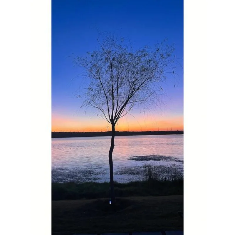 Регулируемый передний и задний бампер Tiy 20 см, разделитель губ, стержень, опорные планки для Ford Mustang Focus GT 2000-2024, автомобильные аксессуары
Регулируемый передний и задний бампер Tiy 20 см, разделитель губ, стержень, опорные планки для Ford Mustang Focus GT 2000-2024, автомобильные аксессуары