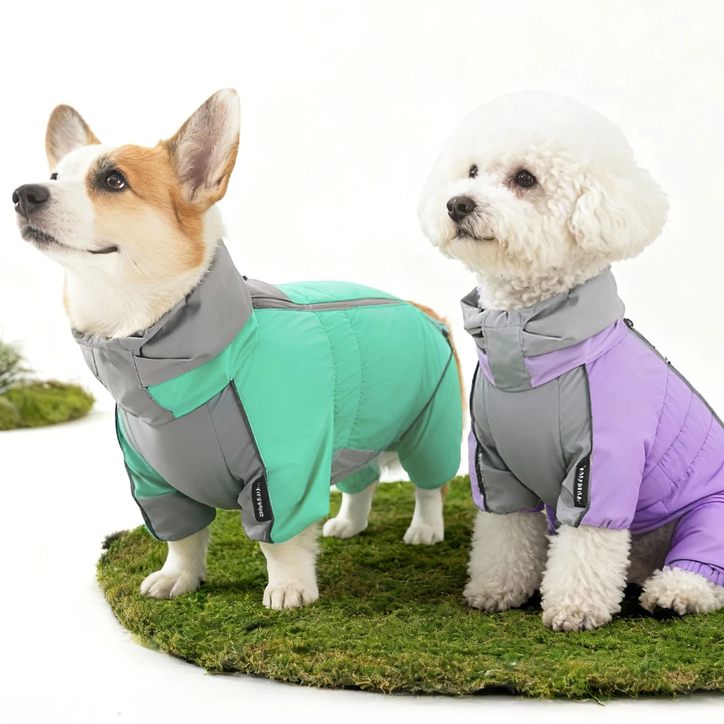 Ветровка для собак среднего размера, водонепроницаемое уличное пальто для домашних животных, корги, зимнее теплое пальто на четырех ножках, вещи для собак
Ветровка для собак среднего размера, водонепроницаемое уличное пальто для домашних животных, корги, зимнее теплое пальто на четырех ножках, вещи для собак