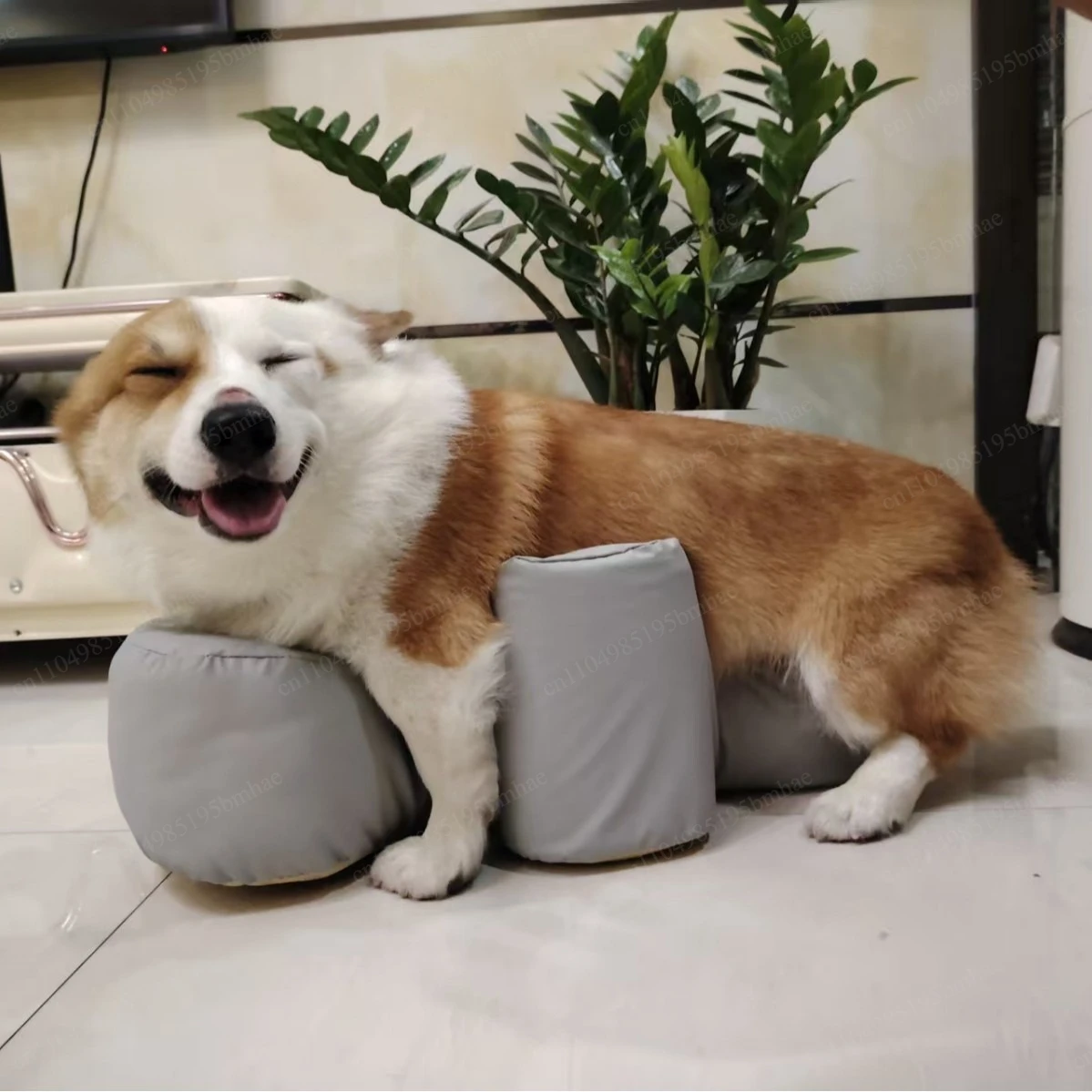 Elderly dog standing auxiliary lying stool anti-skid joint care postoperative rehabilitation paralyzed dog stand up sofa cushion
Elderly dog standing auxiliary lying stool anti-skid joint care postoperative rehabilitation paralyzed dog stand up sofa cushion