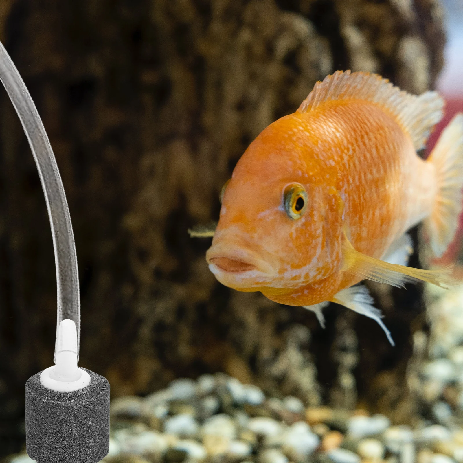 10pcs Air Stone Oxygen Pump Diffuser Fish Tank Aquarium Bubbler Stones Lightweight Compact Silent Small Dense Bubbles Aquatic
10pcs Air Stone Oxygen Pump Diffuser Fish Tank Aquarium Bubbler Stones Lightweight Compact Silent Small Dense Bubbles Aquatic