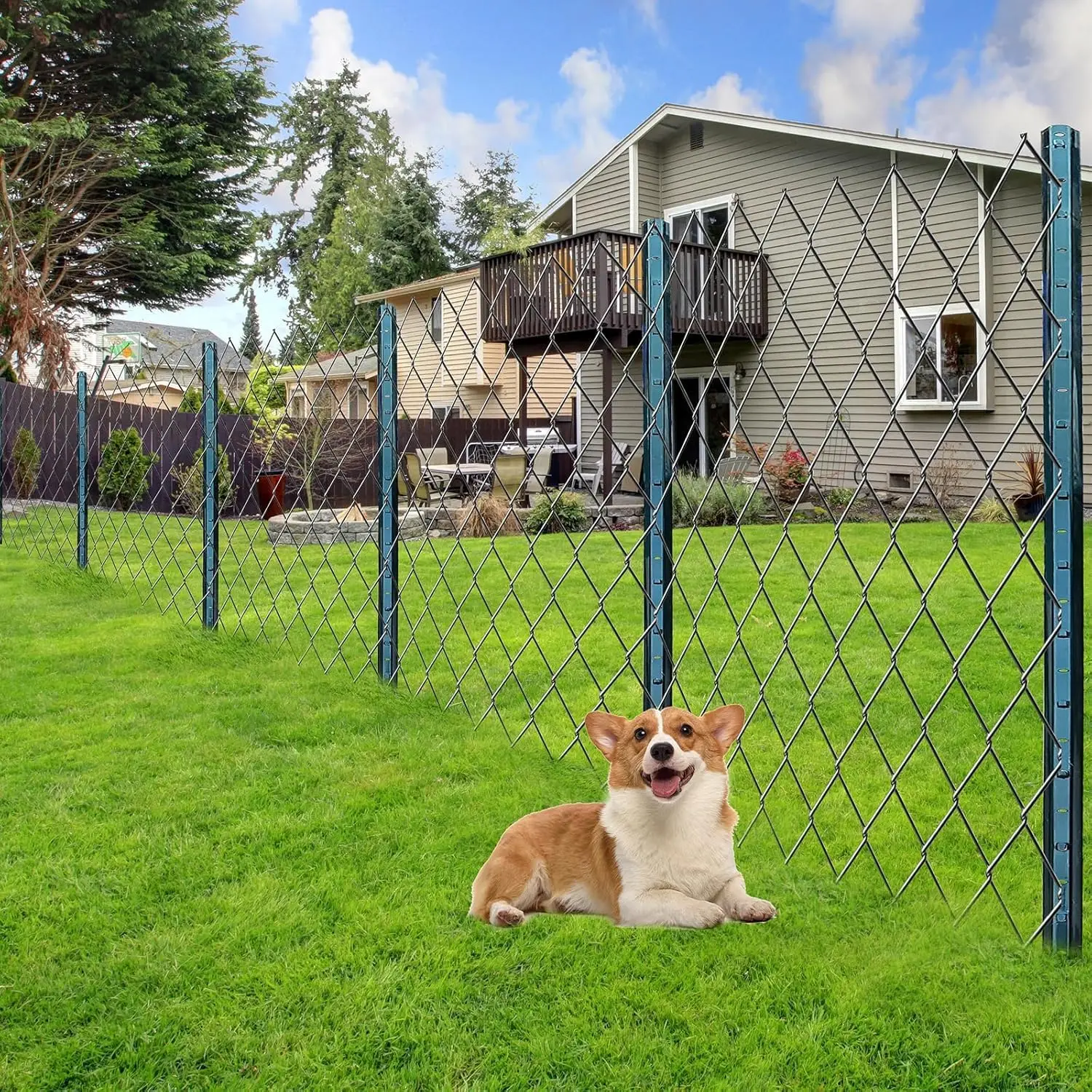 10 шт. металлических столбов для ограждений, антикоррозийные стальные опоры для сада, двора, газона, фермы, 4/4,8/5 футов
10 шт. металлических столбов для ограждений, антикоррозийные стальные опоры для сада, двора, газона, фермы, 4/4,8/5 футов