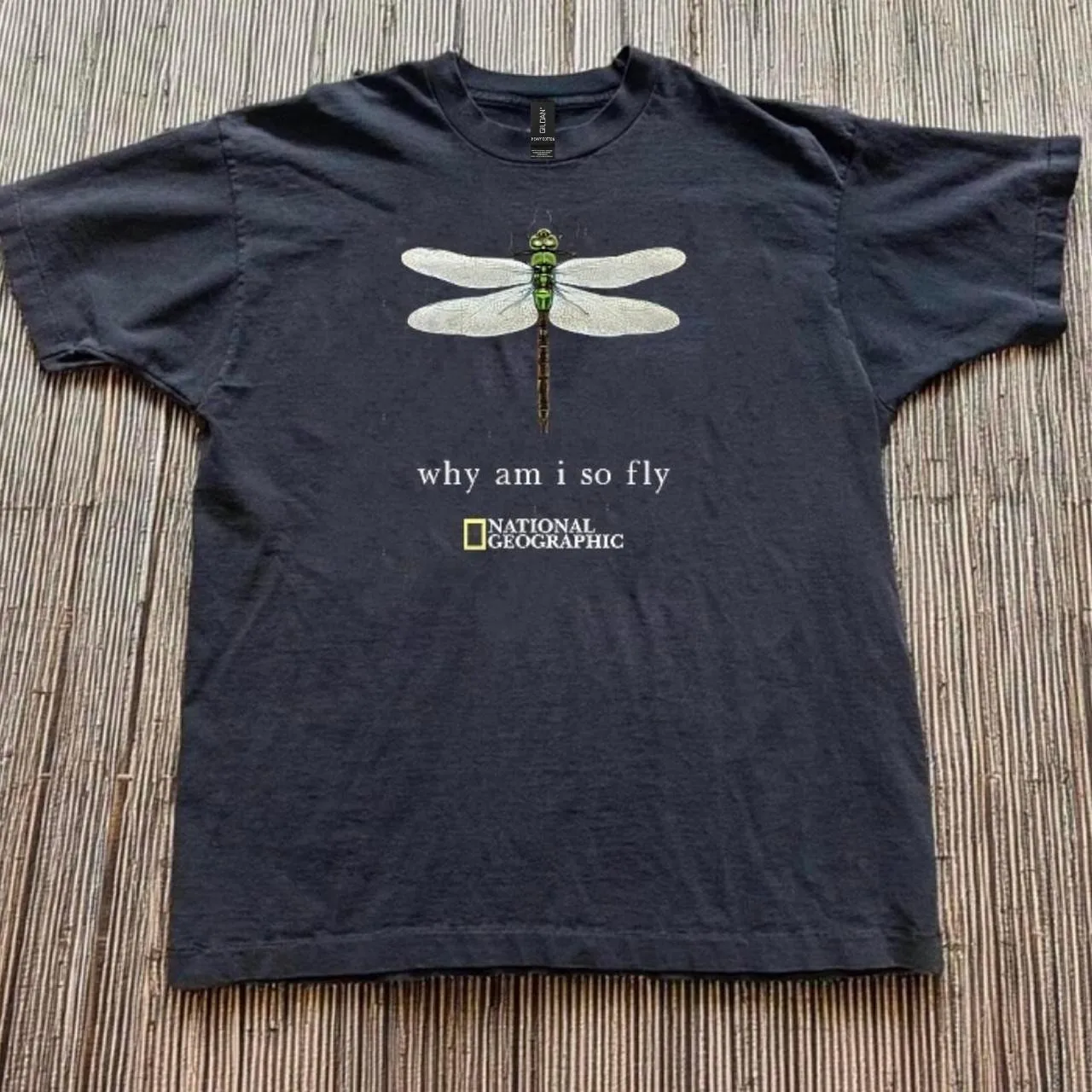 Why Am I So Fly Dragonfly Graphic Tee for All Ages S-5XL
Why Am I So Fly Dragonfly Graphic Tee for All Ages S-5XL