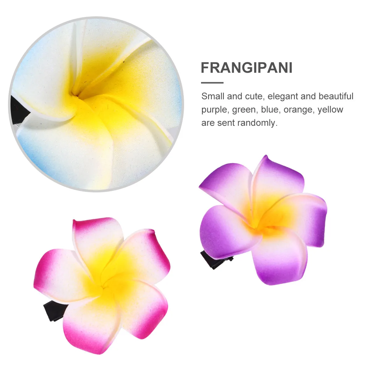 18 Pcs Hair Accessories Artificial Flower Hairpin Travel Barrettes Clips Girls Plumeria
18 Pcs Hair Accessories Artificial Flower Hairpin Travel Barrettes Clips Girls Plumeria