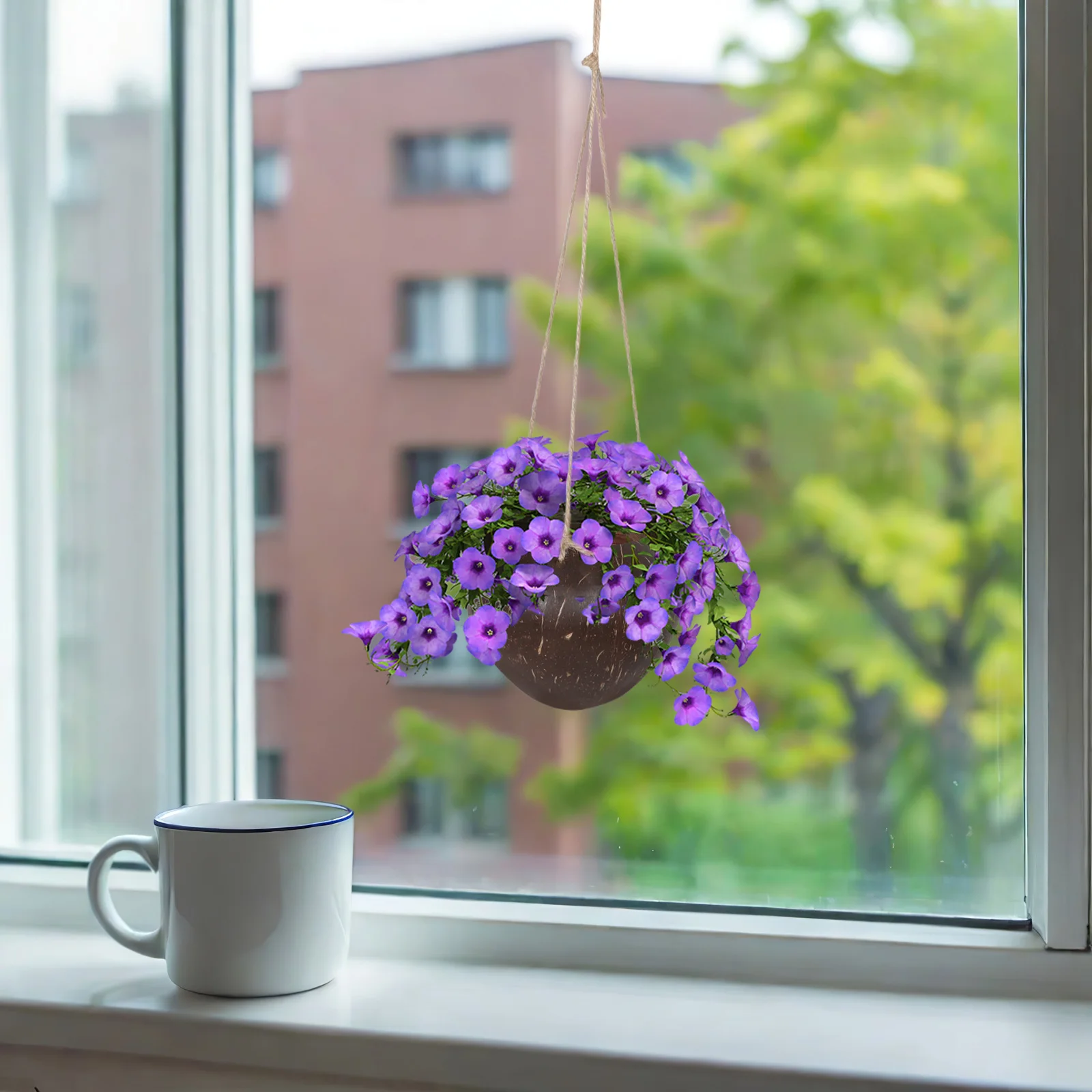 Coconut Shell Hanging Planter Natural Flower Pots Indoor Plants Orchid Baskets Decorative Coconut Shells Breathing Design
Coconut Shell Hanging Planter Natural Flower Pots Indoor Plants Orchid Baskets Decorative Coconut Shells Breathing Design