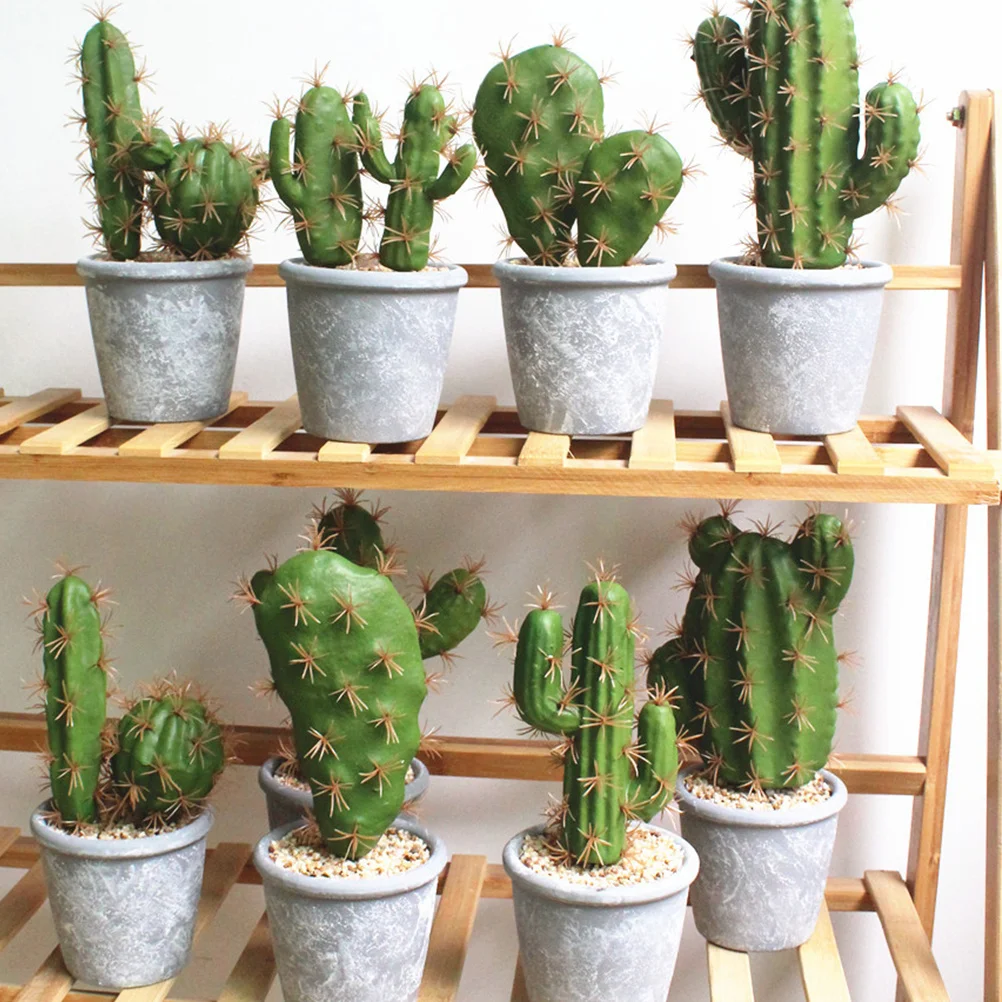 Artificial Cactus Bonsai Simulation Plant Ornament Home Office Desktop Decor Imitation Plant Decoration
Artificial Cactus Bonsai Simulation Plant Ornament Home Office Desktop Decor Imitation Plant Decoration